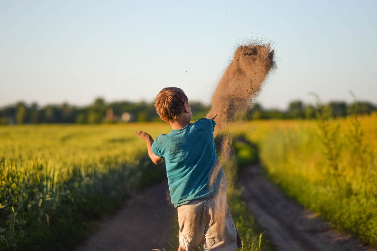 Free Boy Kid photo and picture