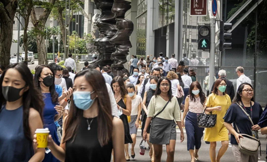 新加坡留学 | 新加坡就业报告出炉，私立院校毕业生六成就业率引关注！